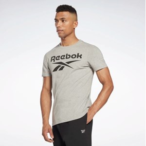 Camisa Reebok Big Logo - Grey