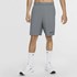 Short Nike Flex - Grey